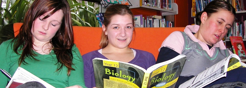 Image of teens studying